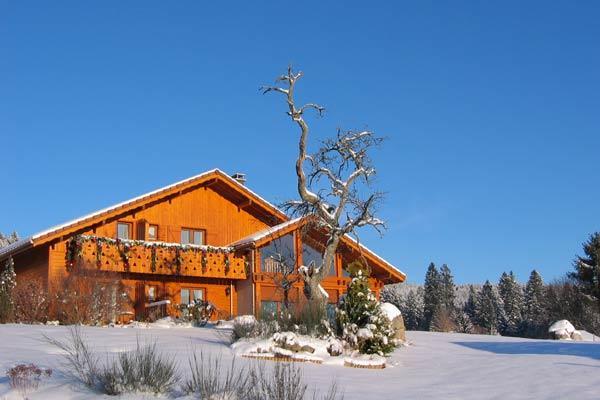 B&B Chalet L'Epinette Жерарме Екстер'єр фото